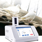 Real Time Pigeon Gender Detector Simple Portable Racing Pigeon Introduction And Breeding