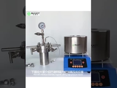 Magnetically Coupled Stirred Gas High Pressure Reactor Stainless Steel For Laboratory