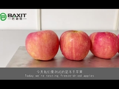 ZLGJ-50 Standard Silicone Oil Heating Pilot Laboratory Freeze Dryer