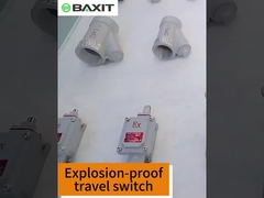 Explosion-proof travel switch