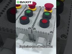Explosion-proof button switch
