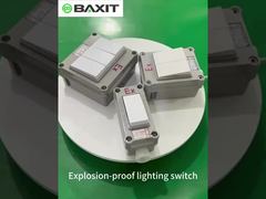 Explosion-proof wall switch