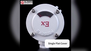 GLO-AH Explosion-proof junction box