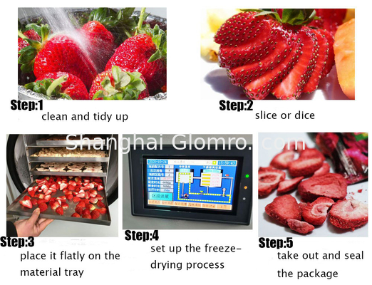 Vacuum Household Mini Freeze Dryer Laboratory Food Fruit Liquid Small Drying Equipment