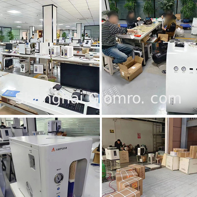 Food Additive Nitrogen Gas Detection Scheme Gas Chromatograph Laboratory Testing Equipment