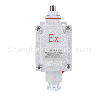Explosion Proof Limit Switch BXT-LX5 Series 1NO+1NC 5A