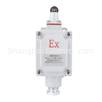 ATEX Certified Explosion Proof Limit Switch IP65 IP66
