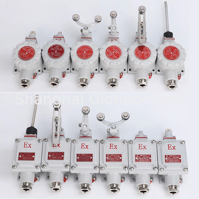 ATEX Explosion Proof Limit Switch BXT-LX5 Series 1NO+1NC 5A