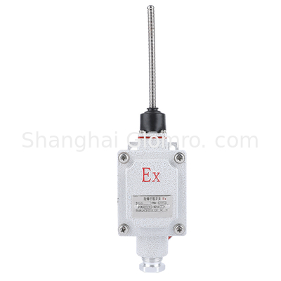 ATEX Explosion Proof Roller-type Travel Switch Zone 1 Zone 2