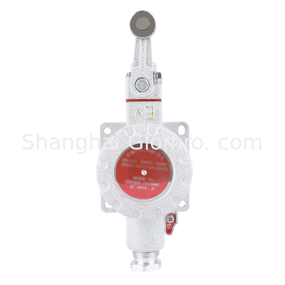 ATEX Explosion Proof Limit Switch 220V 380V 10A DLXK Model