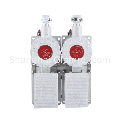 Explosion Proof Travel Switch BXT-LX5 Series for Hazardous Areas