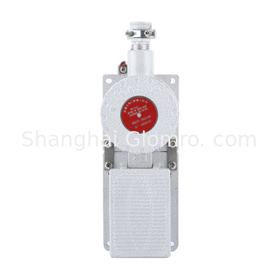 Explosion Proof Travel Switch BXT-LX5 Series 1NO+1NC IP65