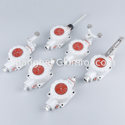 ATEX Explosion-proof Travel Switch BXT-LX5 Series for Hazardous Areas