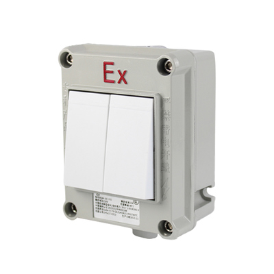 IP66 SW-10 Hazardous Location Water Proof On-off Light Switch Explosion Proof Switch