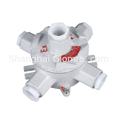 Type AH P65 Waterproof ATEX Explosion-Proof Junction Boxes Explosion Proof Exd IIC T6, Aluminum Alloy