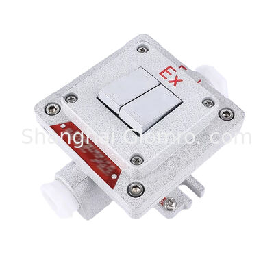 Flameproof Type Explosion-proof Wall Switch Surface-mounted Explosion-proof, Dust-proof and Water-resistant