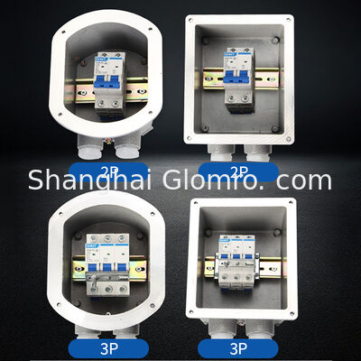 Flameproof Enclosure Die Cast Aluminum IP65 Ex Db Eb Iib T6 GB MCB Cabinet Chint 2p/3p/4p Mini Circuit Breaker G3/4 G1 Cable
