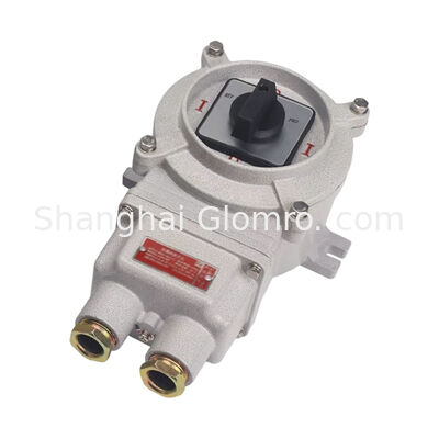 Dual Rated Ex Iic & Iiic 32A Explosion Proof Transfer Switch IP66 Splash Proof Controller for Gas & Dust Hazardous Zones
