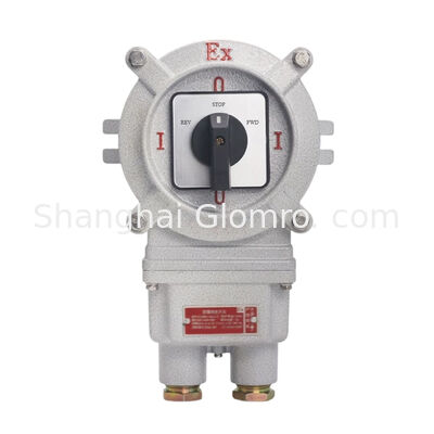 Dual Rated Ex Iic & Iiic 32A Explosion Proof Transfer Switch IP66 Splash Proof Controller for Gas & Dust Hazardous Zones
