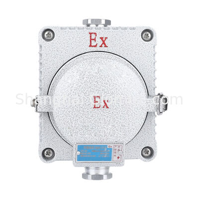 IP66 Explosion Proof Wall Socket Die Cast Aluminum 5 Holes 10A AC220V Flameproof Power Socket For Oil Chemical Hazardous Zone