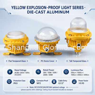 GLOMRO Heavy Duty Explosion Proof LED Area Light 30W SMD 3000Lm AC85V-265V for Petrochemical Plants