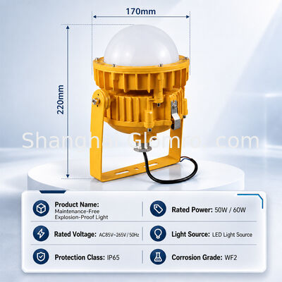 50W High Output Maintenance-Free Explosion-Proof Lamp IP65 Warehouse Factory Workshop Area Lighting