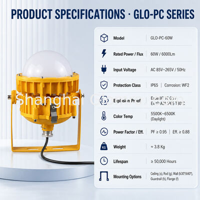 LED Maintenance-free Explosion-proof 60W Floodlight with Microwave Sensing-Emergency Lighting for Petrochemical Platforms