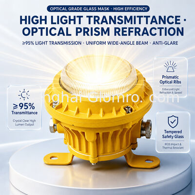 LED Maintenance-free Explosion-proof Lamp 20W for Warehouse and Gas Station Energy-saving Floodlight 220V