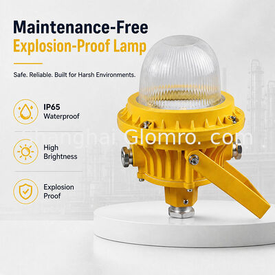 GLOMRO 30W Maintenance-Free Explosion-Proof Lamp Tempered Glass Cover for Warehouses Gas Stations Hanging Installation