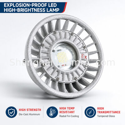 LED Explosion-Proof Light 20W/30W/40W/50W/60W/70W/80W/100W/120W IP66 Die-cast Aluminum Hazardous Location Lighting Multiple Power Options