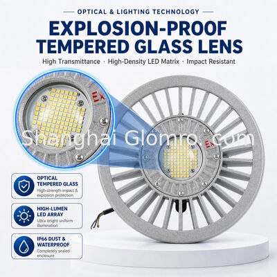 LED Explosion-Proof Light 20W/30W/40W/50W/60W/70W/80W/100W/120W IP66 Die-cast Aluminum Hazardous Location Lighting Multiple Power Options