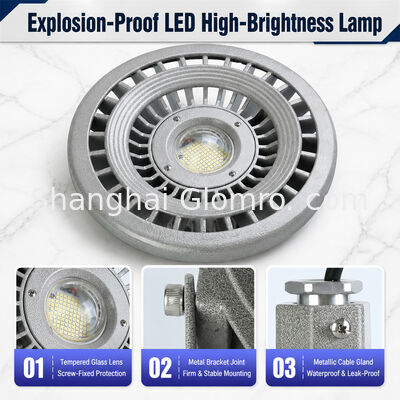LED Explosion-Proof Light 20W/30W/40W/50W/60W/70W/80W/100W/120W IP66 Die-cast Aluminum Hazardous Location Lighting Multiple Power Options