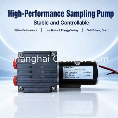 BAXIT PM33387-96 Low Corrosion Resistant Gas Sampling Pump DC24V Brushless DC Motor Micro Diaphragm Pump for CEMS VOC Flue Gas