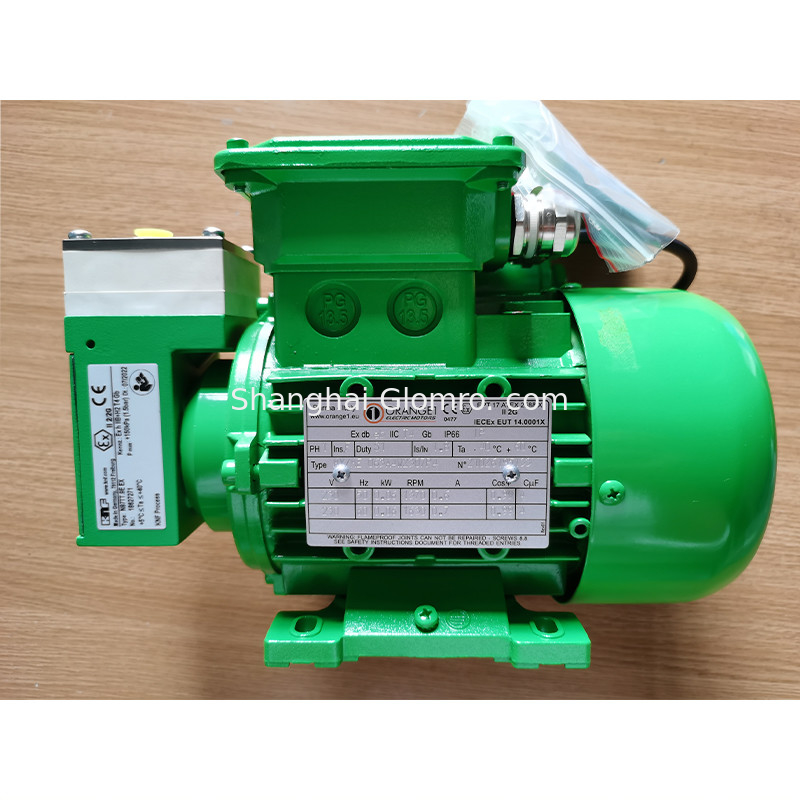 60W KNF Explosion Proof Air Pump Vacuum Sampling Pump N87TT.9E Ex