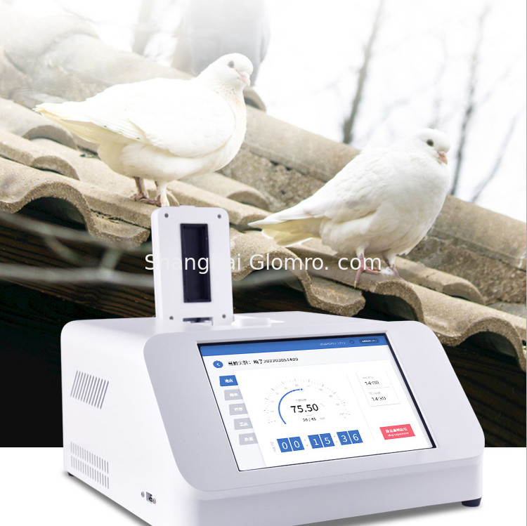 Pigeon Male And Female Gender Identification Instrument Real-Time Fluorescence Quantitative PCR System