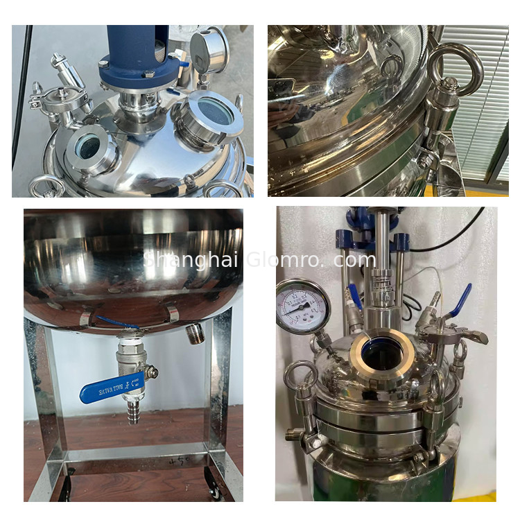 Stainless Steel Double Jacketed Reaction Vessel for Precise Temperature Control