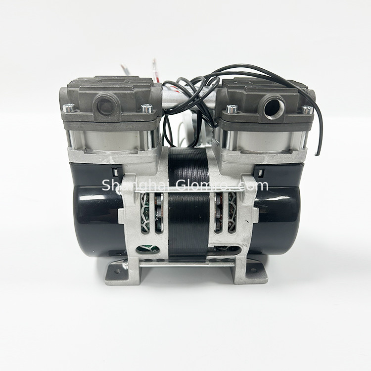 Portable Vacuum Device 45 Liters Per Minute Air Pump Oil-free Air Gas Source Engine Core Components