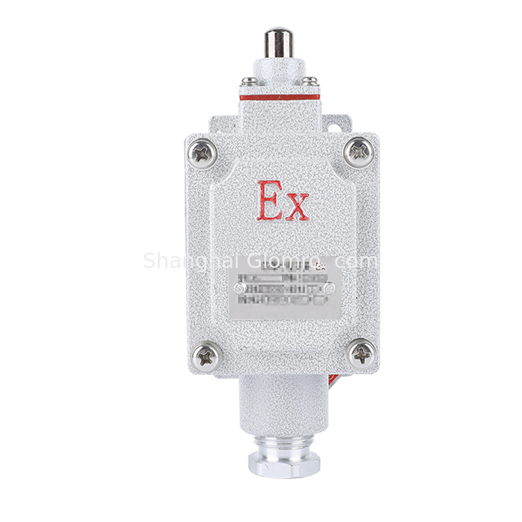Explosion Proof Limit Switch BXT-LX5 Series 1NO+1NC 5A