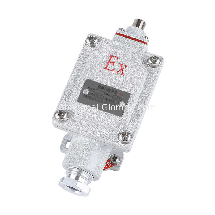 ATEX Explosion-proof Limit Switch IIB IIC Zone 1 2 Waterproof