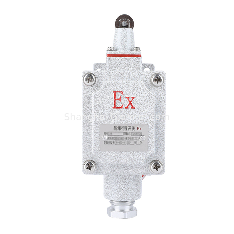 ATEX Certified Explosion Proof Limit Switch IP65 IP66