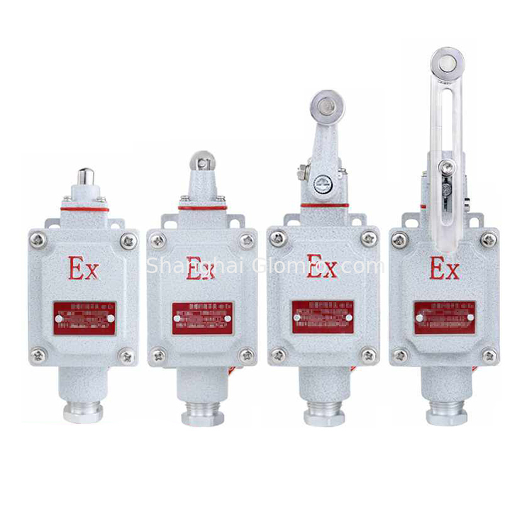 Industrial Explosion-proof Limit Switch BXT-LX5 Series for Hazardous Areas