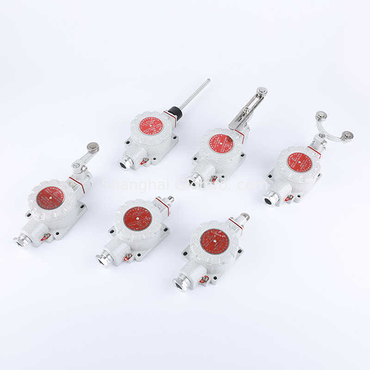 Explosion Proof Limit Switch WF2 Aluminum Alloy Exd Safety Switch