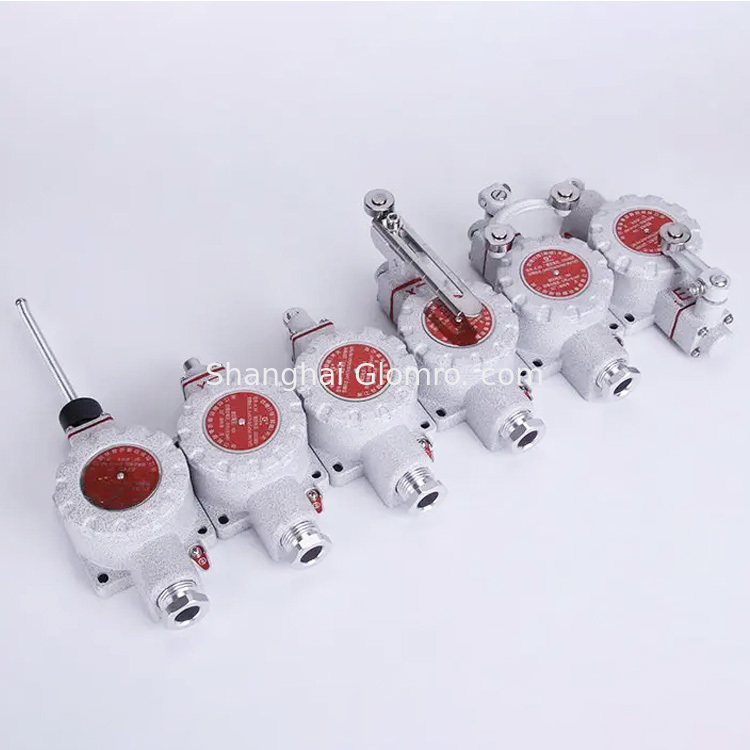 BAXIT DLXK/LX5 Aluminum Alloy Explosion-Proof Limit Switch for Hazardous Areas