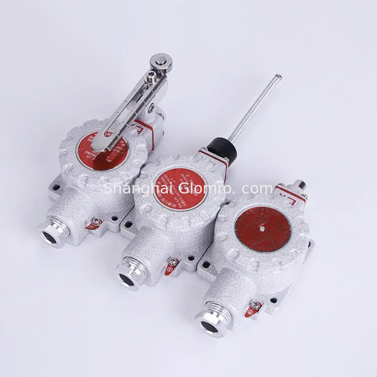 ATEX Explosion-Proof Travel Switch 220V/380V 10A Roller Column Drive Arm