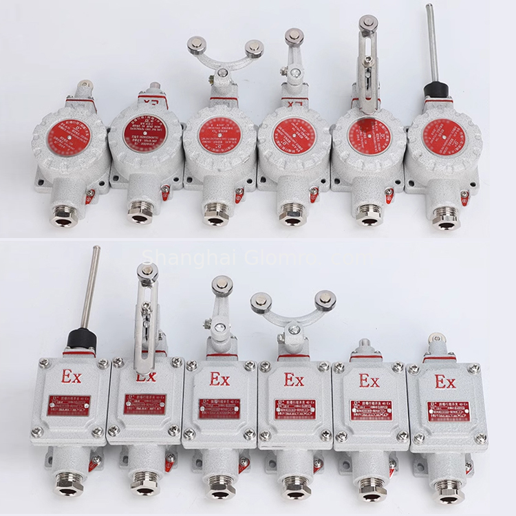 ATEX Explosion Proof Limit Switch BXT-LX5 Series 1NO+1NC 5A
