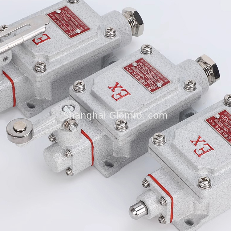 Explosion Proof Travel Switch 220V/380V for Mining Petrochemical