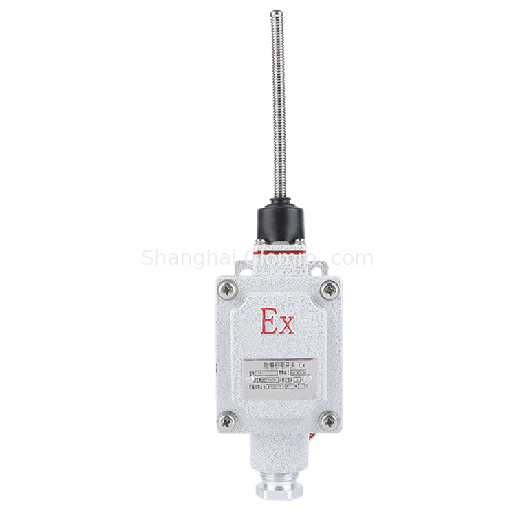 ATEX Explosion Proof Roller-type Travel Switch Zone 1 Zone 2