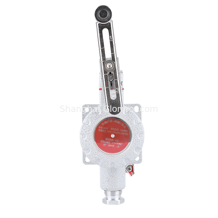 Explosion-Proof Travel Switch BXT-LX5 Series 220V/380V 5A