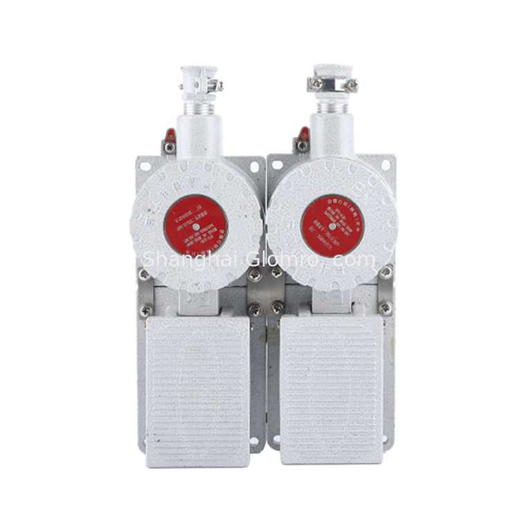 Explosion Proof Travel Switch BXT-LX5 Series for Hazardous Areas