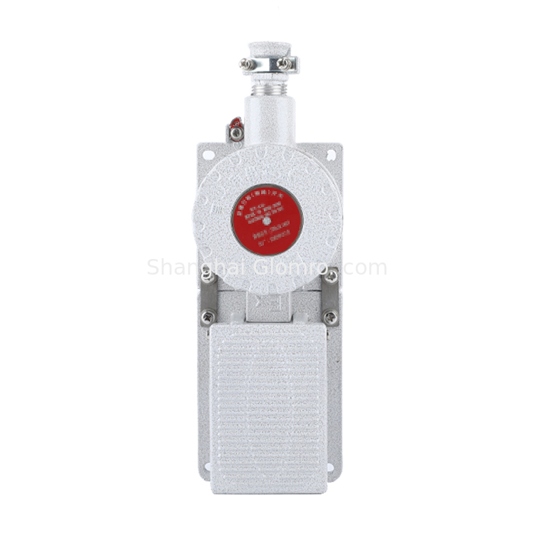 Explosion Proof Travel Switch BXT-LX5 Series 1NO+1NC IP65